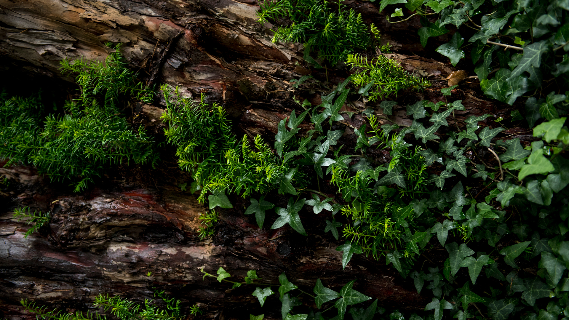 <!-- {!{sustainability/title4}} -->