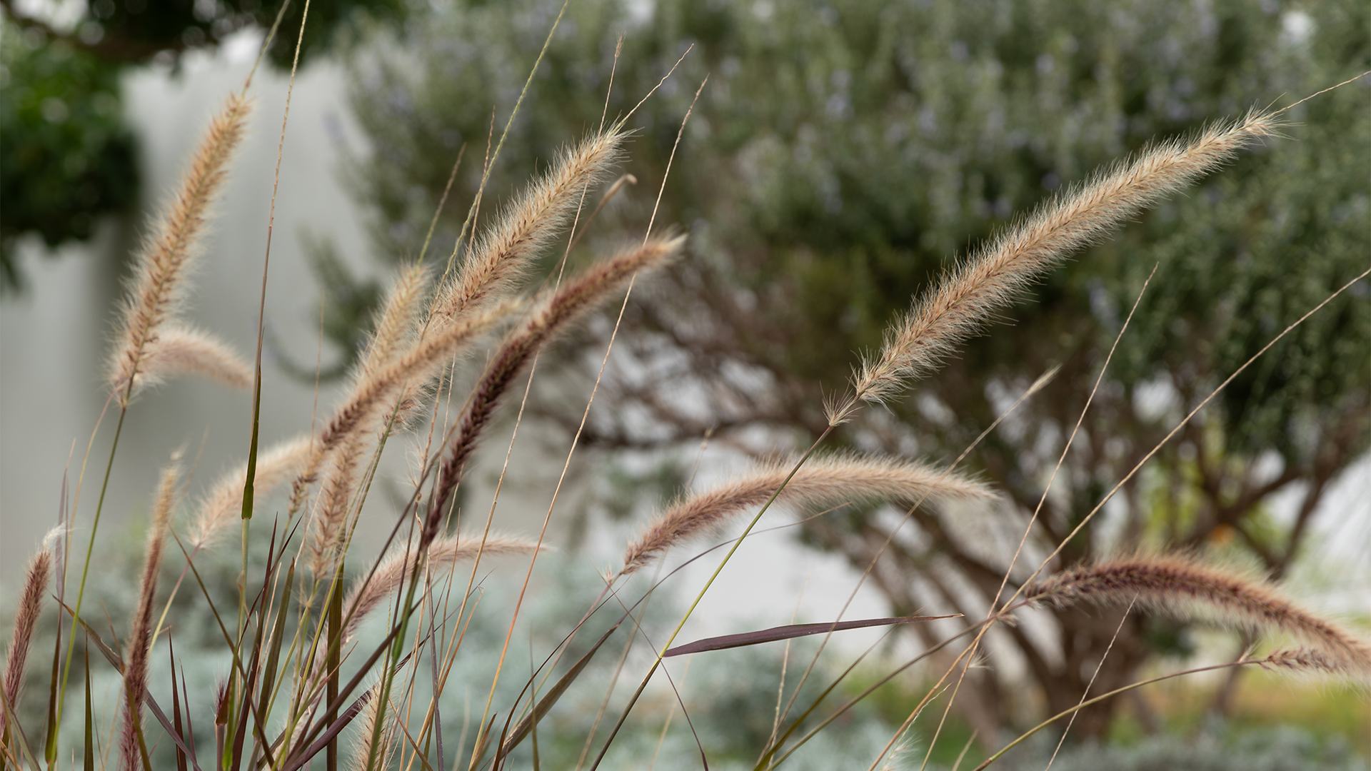 <!-- {!{sustainability/title2}} -->