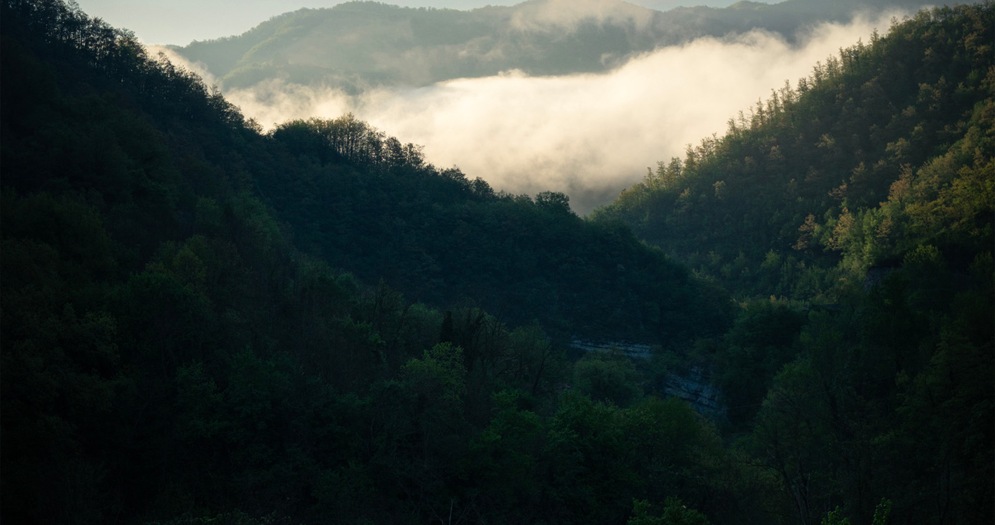 <!-- {!{sustainability/title1}} -->